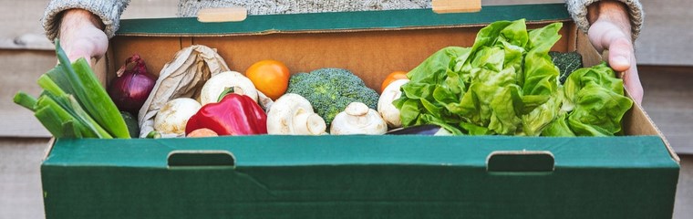 A person holding a box of vegetables.