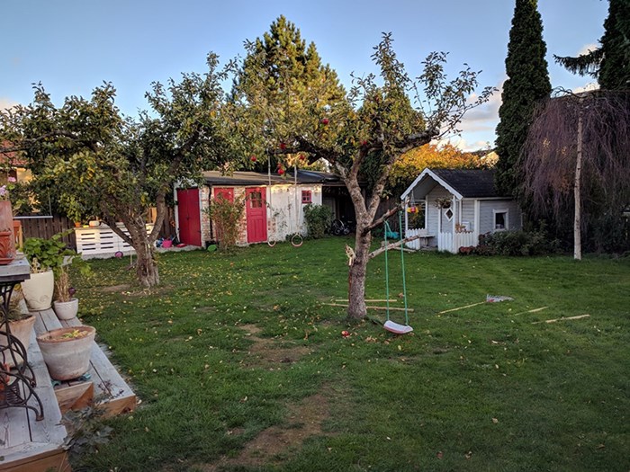 A garden with apple trees.