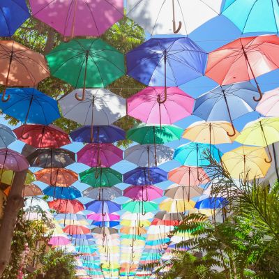 Färgglada paraplyer och träd över en gata.