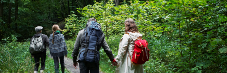 A group of people walking in to a forest.