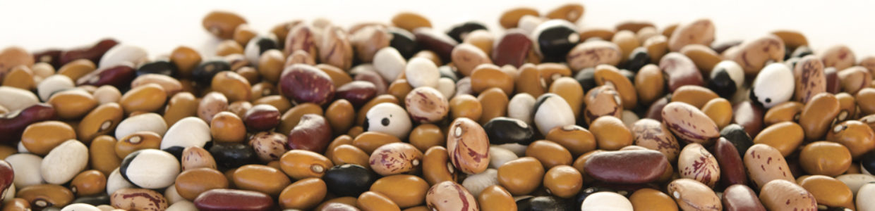 Torkade bönor i olika färger. Foto.