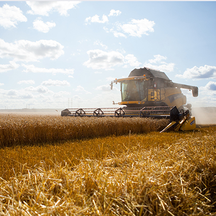 Skördetröska. Foto: Jenny Svennås-Gillner