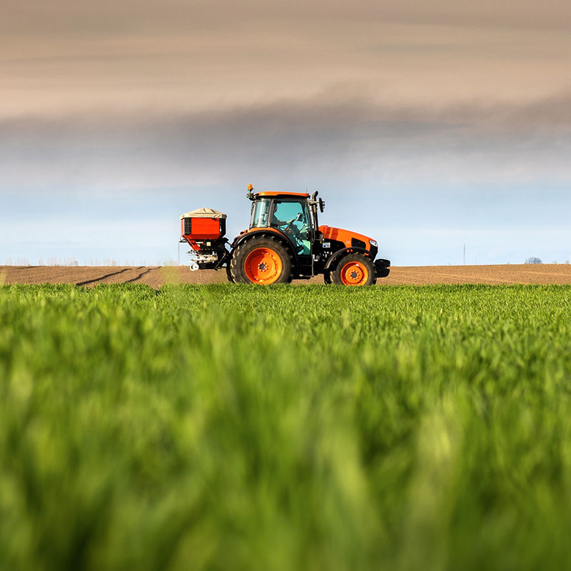 Tractor spreading artificial fertilizers. Photo.