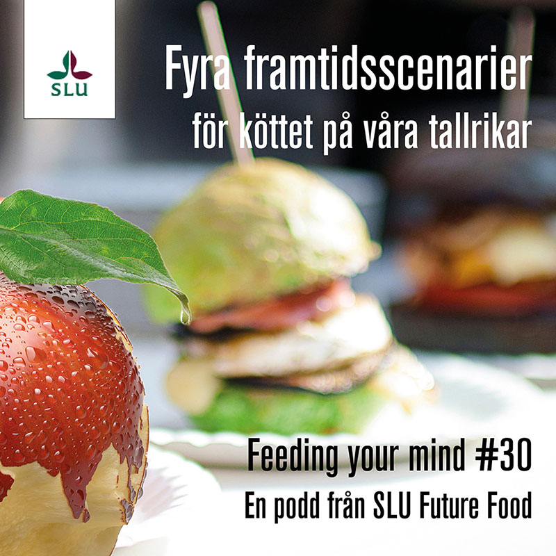 Avsnittsbild för podden Feeding your mind #30