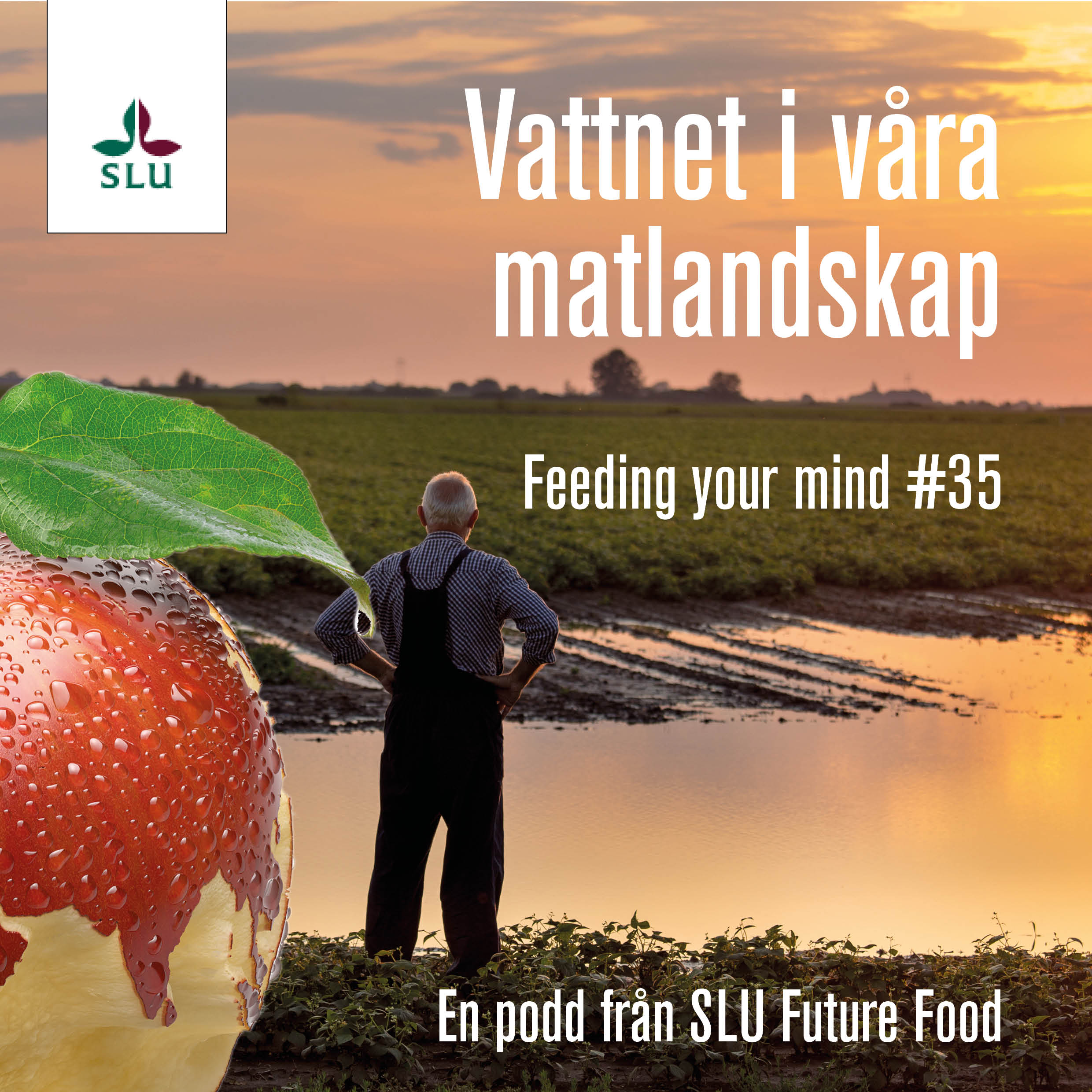 En man står och tittar ut över en översvämmad åker, foto.