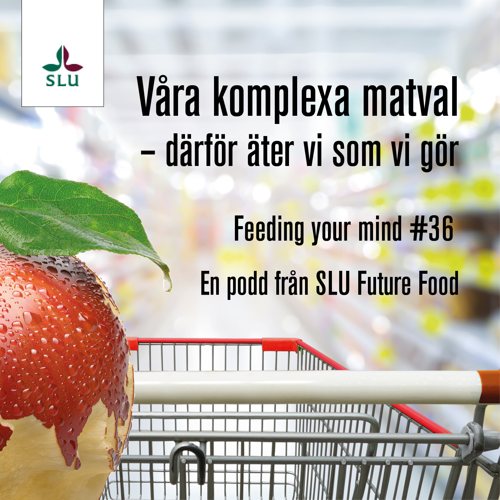 Feeding your mind #36