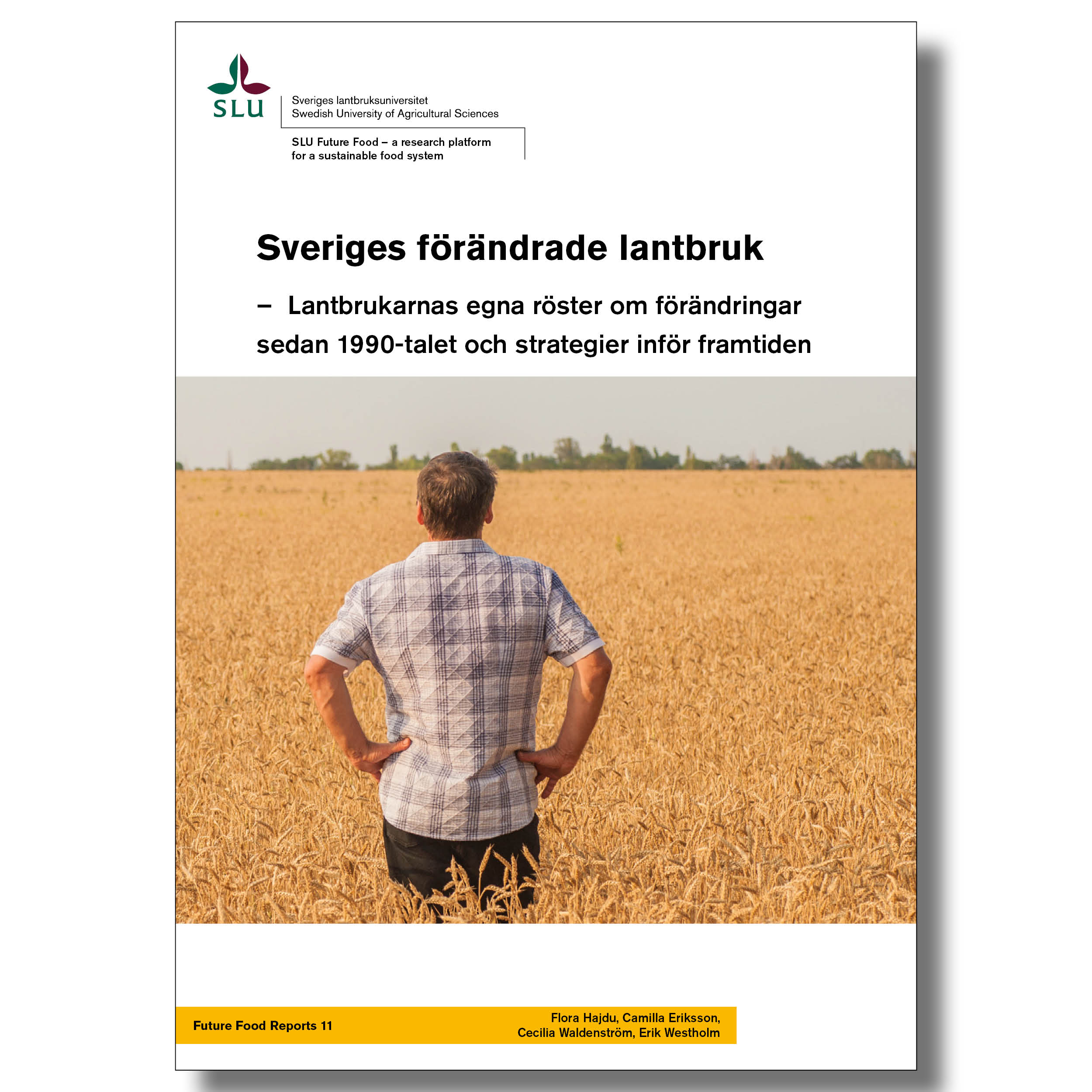 Omslaget till rapport nr 11