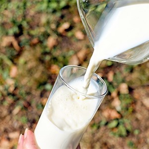 Milk is being poured into a glass. Photo.