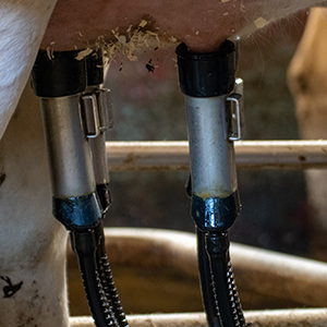 Två metallföremål med slangar sitter på ett kojuver. Foto.