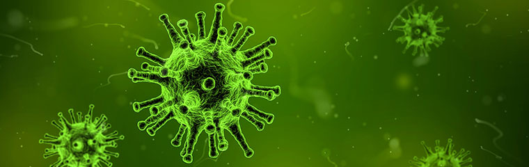 Virus, foto.
