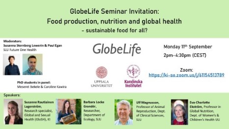 Powerpoint presenting the seminar 