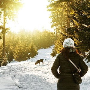 En kvinna och en hund i ett solbelyst vinterlandskap, foto.