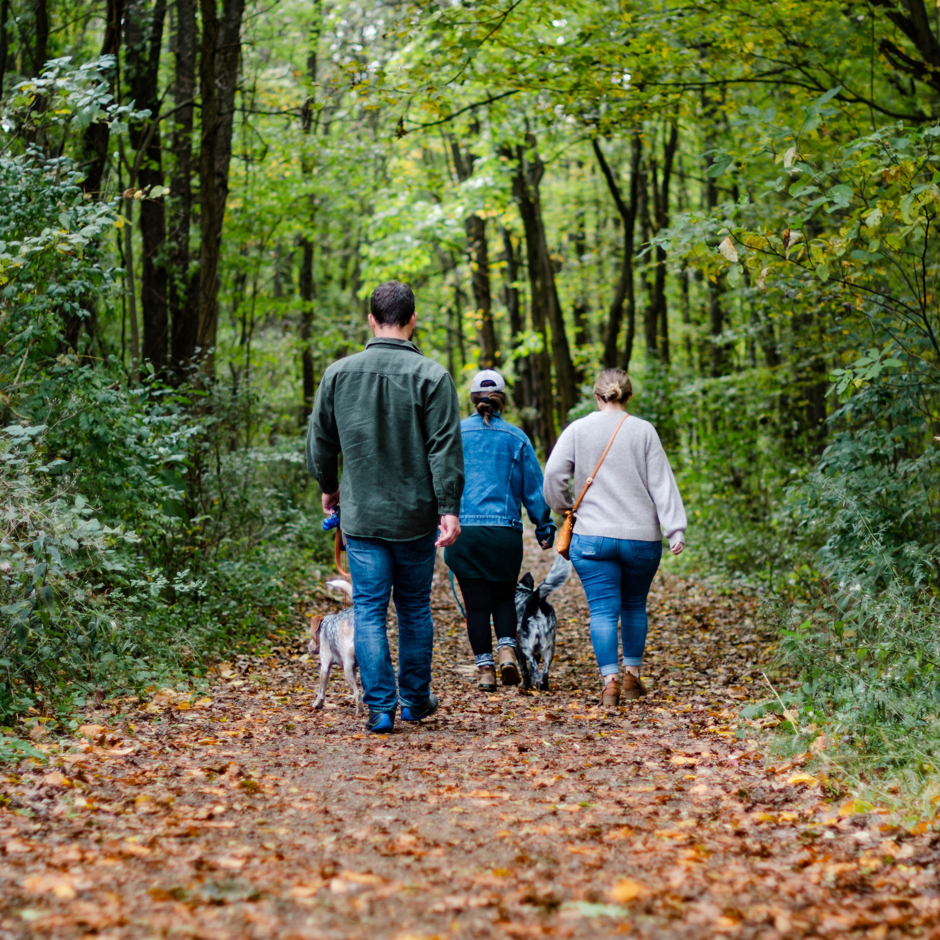 Familj ute på promenad i skogen med sin hund, foto.
