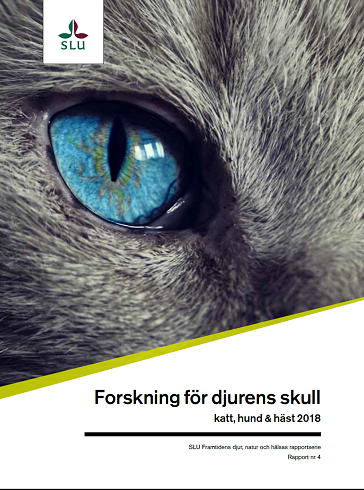 Ett raportomslag med ett kattöga på, foto.