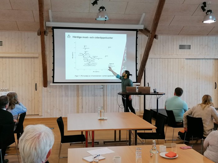 Doktoranden Jonas Skytte af Sätra håller föredrag på en workshop om växtförädling och äpple 2022. På presentationen syns statistik.