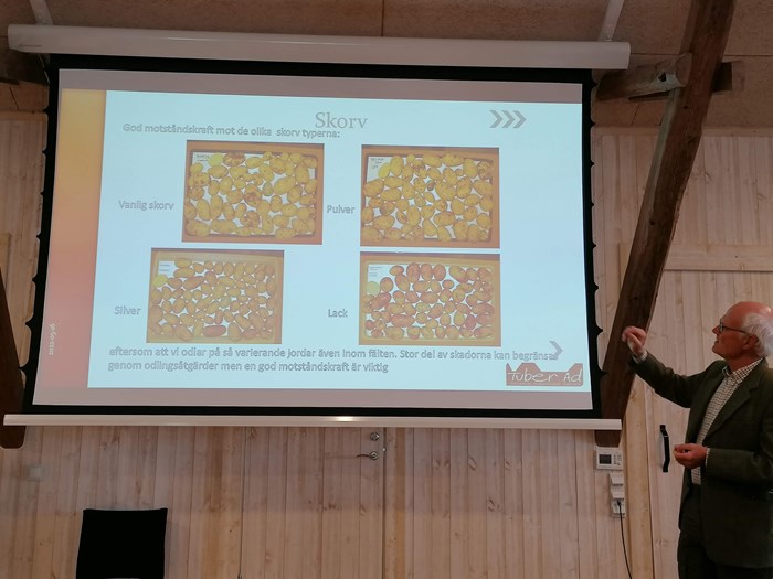 Anders Andersson från Potatisodlarna visar bilder på potatis vid ett föredrag