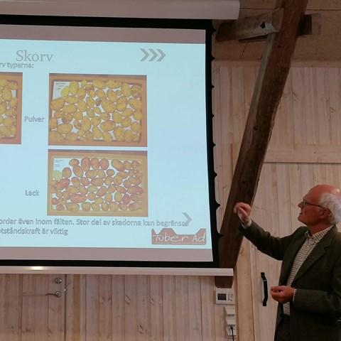 Anders Andersson från Potatisodlarna håller föredrag om potatis på presentationen syns olika potatisar som drabbats av olika typer av skorv.