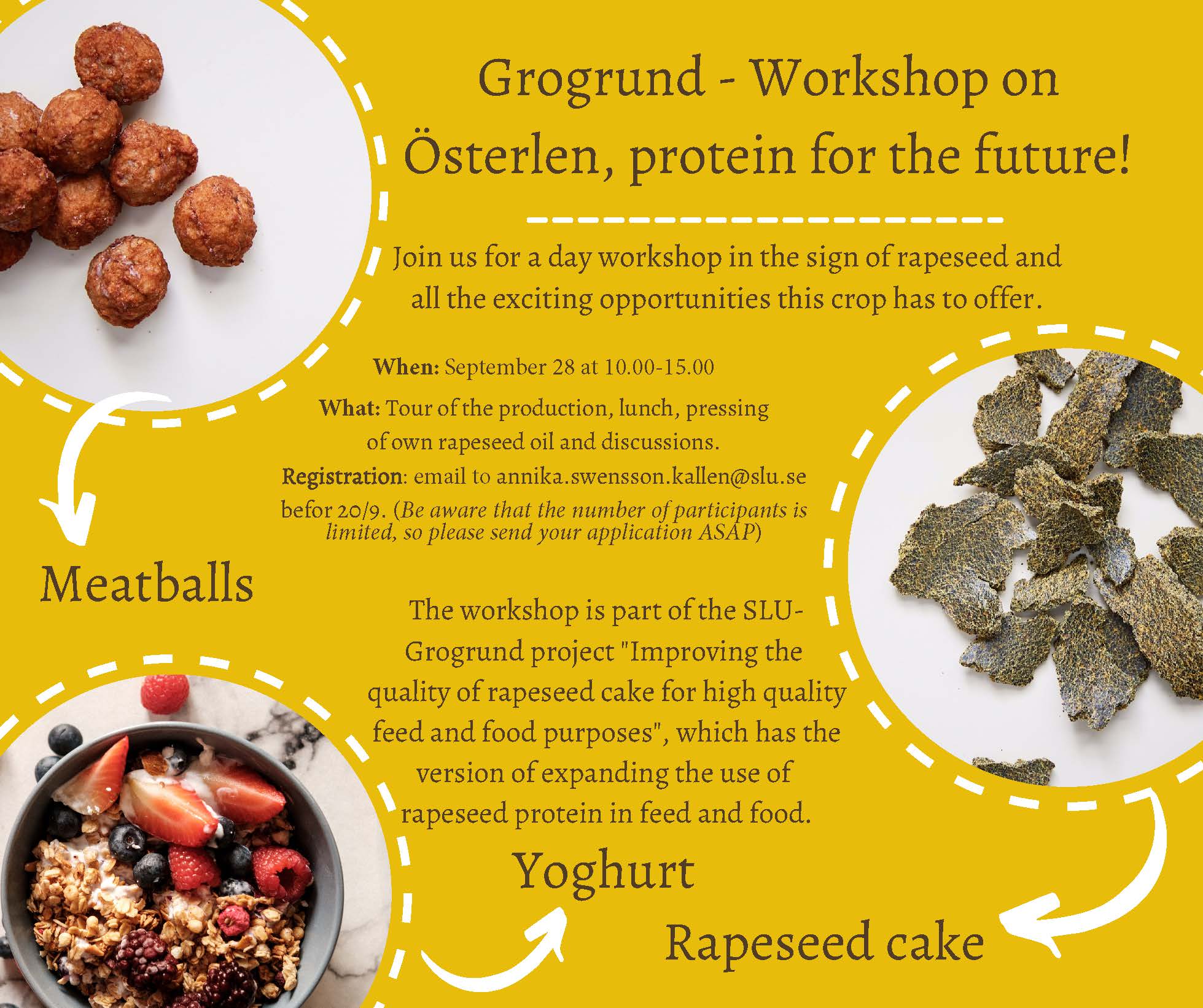 Grogrund - Workshop on Österlen, protein for the future! Meatballs Rapeseed cake Yoghurt Join us for a day workshop in the sign of rapeseed and all the exciting opportunities this crop has to offer. When: September 28 at 10.00-15.00 What: Tour of the production, lunch, pressing of own rapeseed oil and discussions. Registration: email to annika.swensson.kallen@slu.se before 20/9. (Be aware that the number of participants is limited, so please send your application ASAP) The workshop is part of the SLUGrogrund project "Improving the quality of rapeseed cake for high quality feed and food purposes", which has the version of expanding the use of rapeseed protein in feed and food.