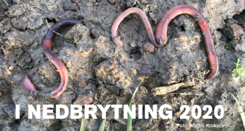 två maskar som bildar bokstäverna s och m. De ligger på jord. Under står det i nedbrytning 2020