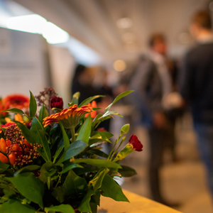 Blommor med personer i bakgrunden. Foto.