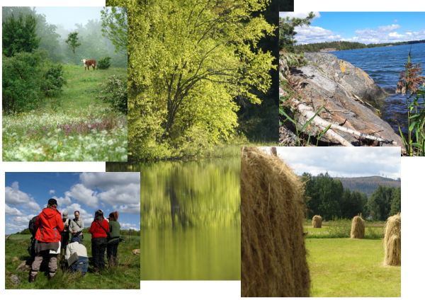 composed pictures with different habitats