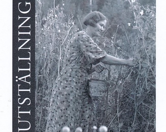 Ett utsnitt ur affischen för utställningen "Kulturarvsväxter för framtidens mångfald". I mitten av affischen ses ett svartvitt foto av en kvinna som plockar ärtor.