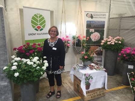 Karin Persson står i en monter på en mässa. Runt omkring henne är fullt av pelargoner i olika färger. Färgfoto. 