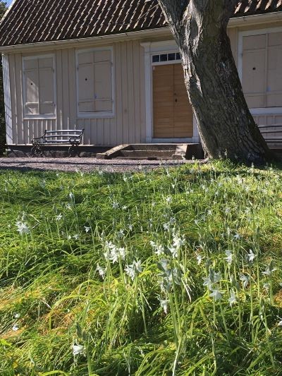 Huvudbyggnaden på Krusenstiernska gården, ett lågt ljusgult trähus.