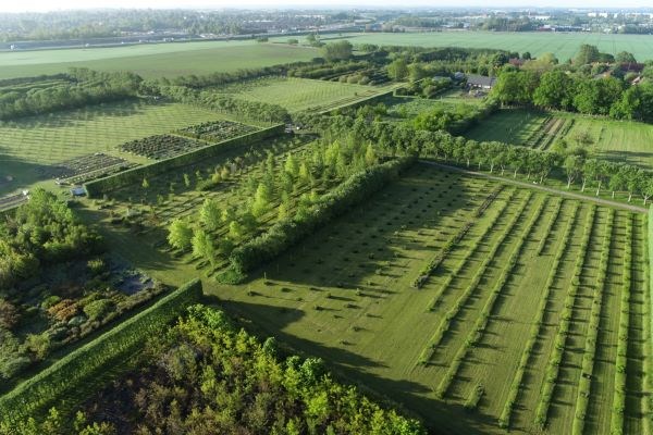 Ett drönarfoto av Nationella genbanken. Fotot visar genbanken uppifrån i tidigt morgonljus.