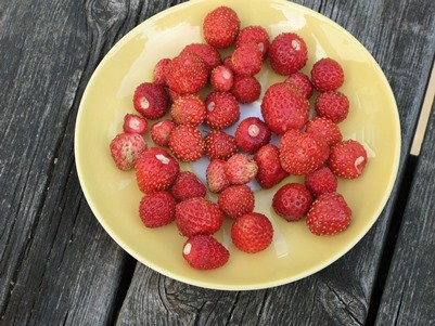 På ett träbord står en gul porslinstallrik. I den ligger röda smultron.