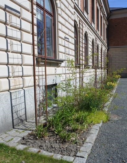 En rabatt med klonarkivsperenner, anlagd vid länsresidensets fasad.