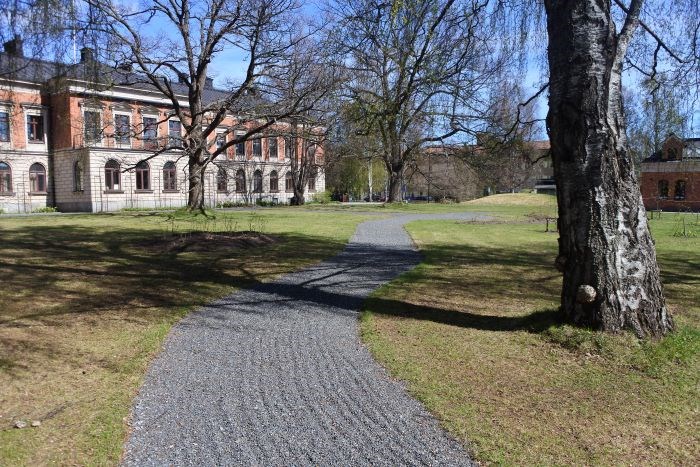 Umeå länsresidens, sett från parken. Mellan stora träd leder en grusgång fram till residenset. 