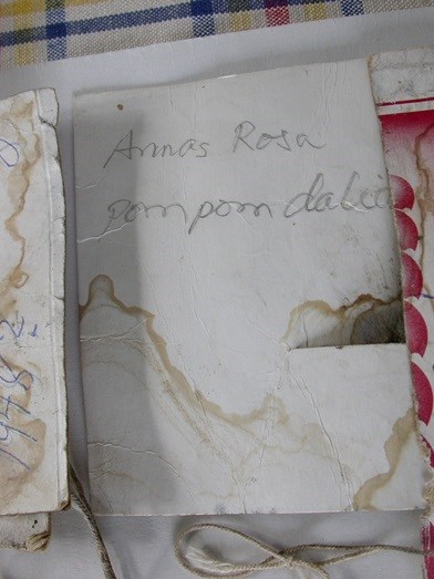 Färgfoto som visar en handskriven lapp med texten "Annas rosa pompom-dahlia". Lappen är skriven av Rällsjö Brita. 