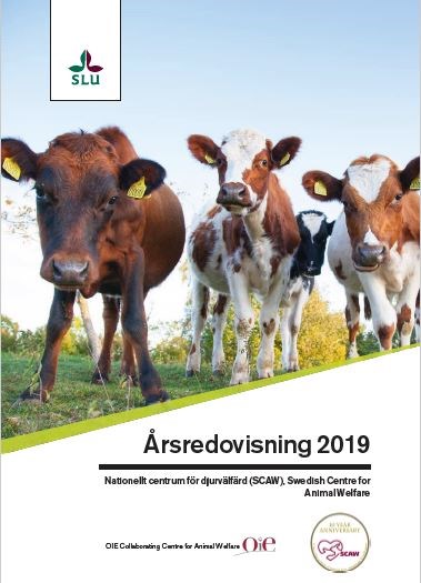 Årsredovisning framsida