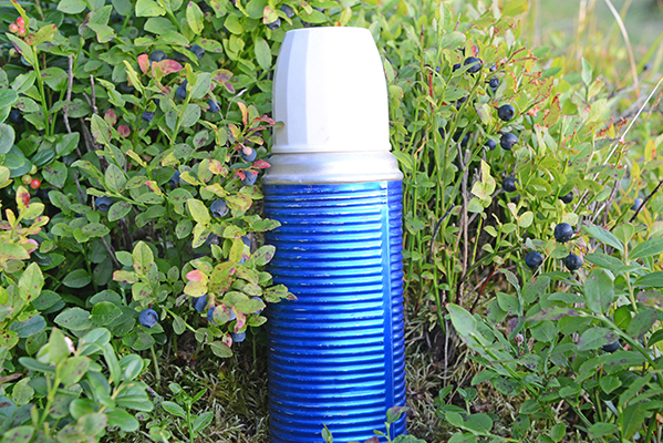 En blå termos i blåbärsris