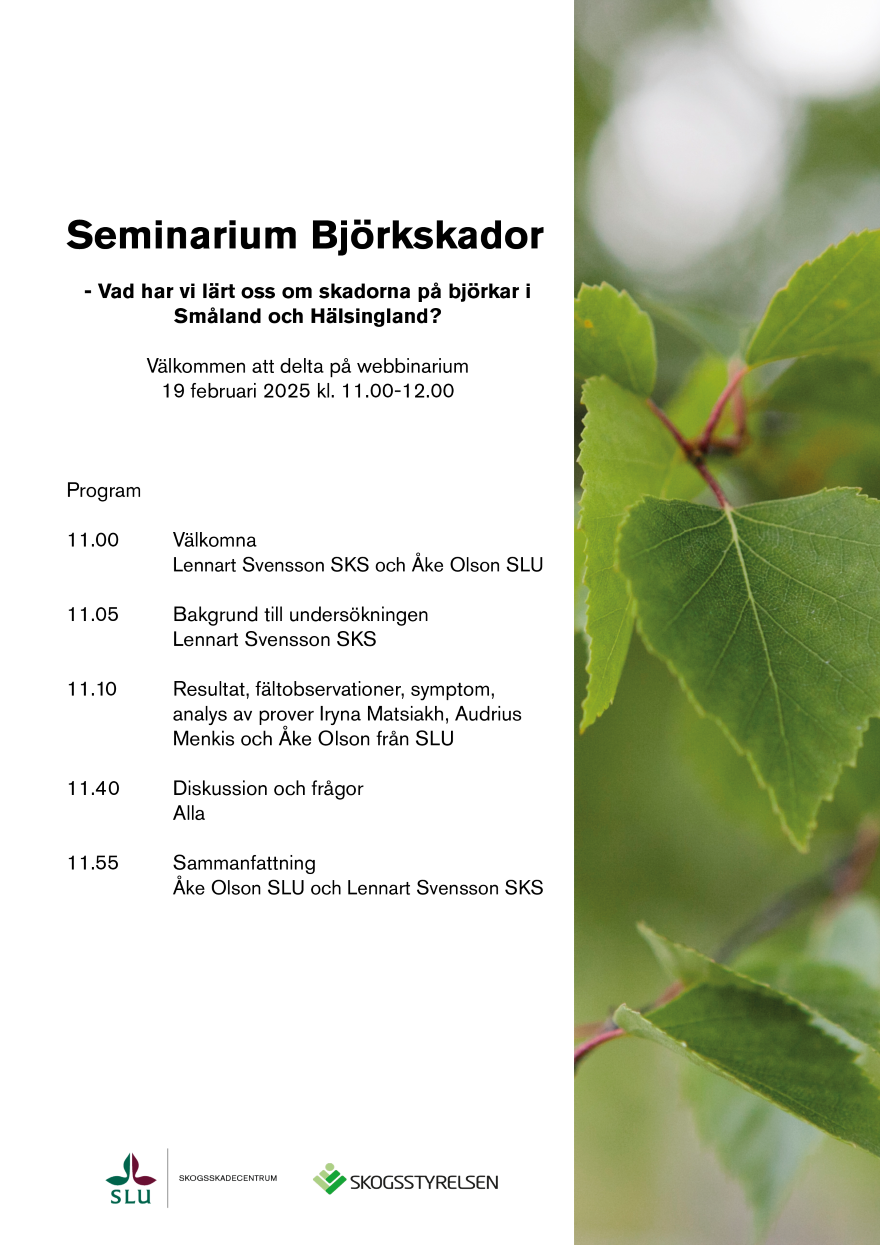 Program Seminarium björkskador_1b.png