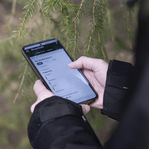 Mobile with the webtool, hold by hands. Photo.