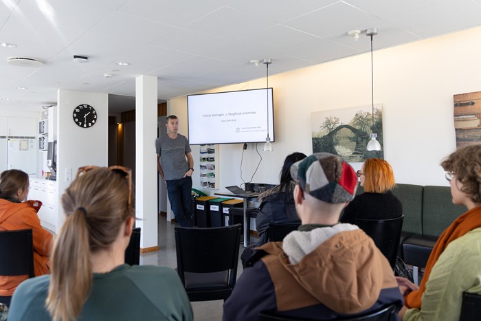 Studiebesök hos Skogforsk. Foto.