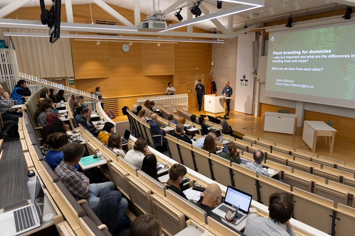 Presentation under nätverkssymposium. Foto.