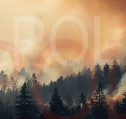 Framsida från policy brief