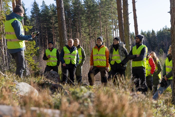 Exkursion i skog. Foto. 