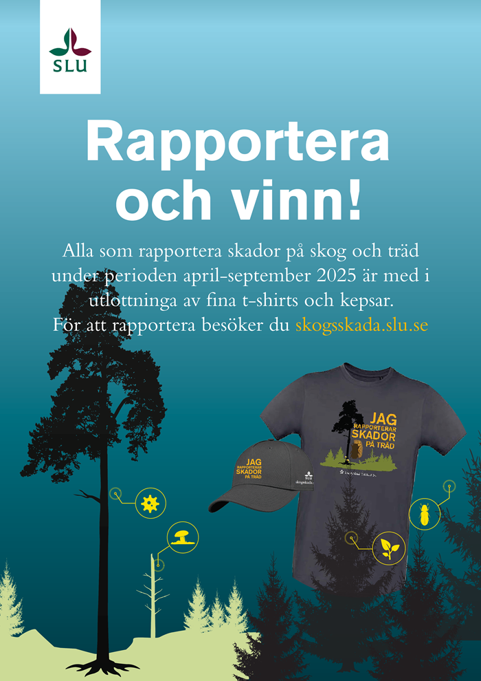 Affisch om rapporteringstävling. Illustration.