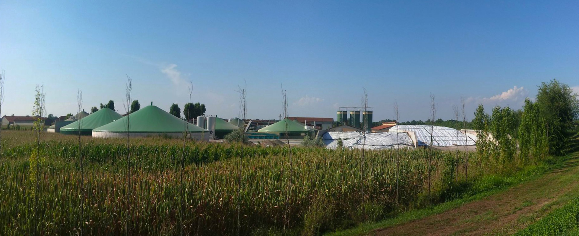 Production of biogas at farm. Big silos with green covers. 