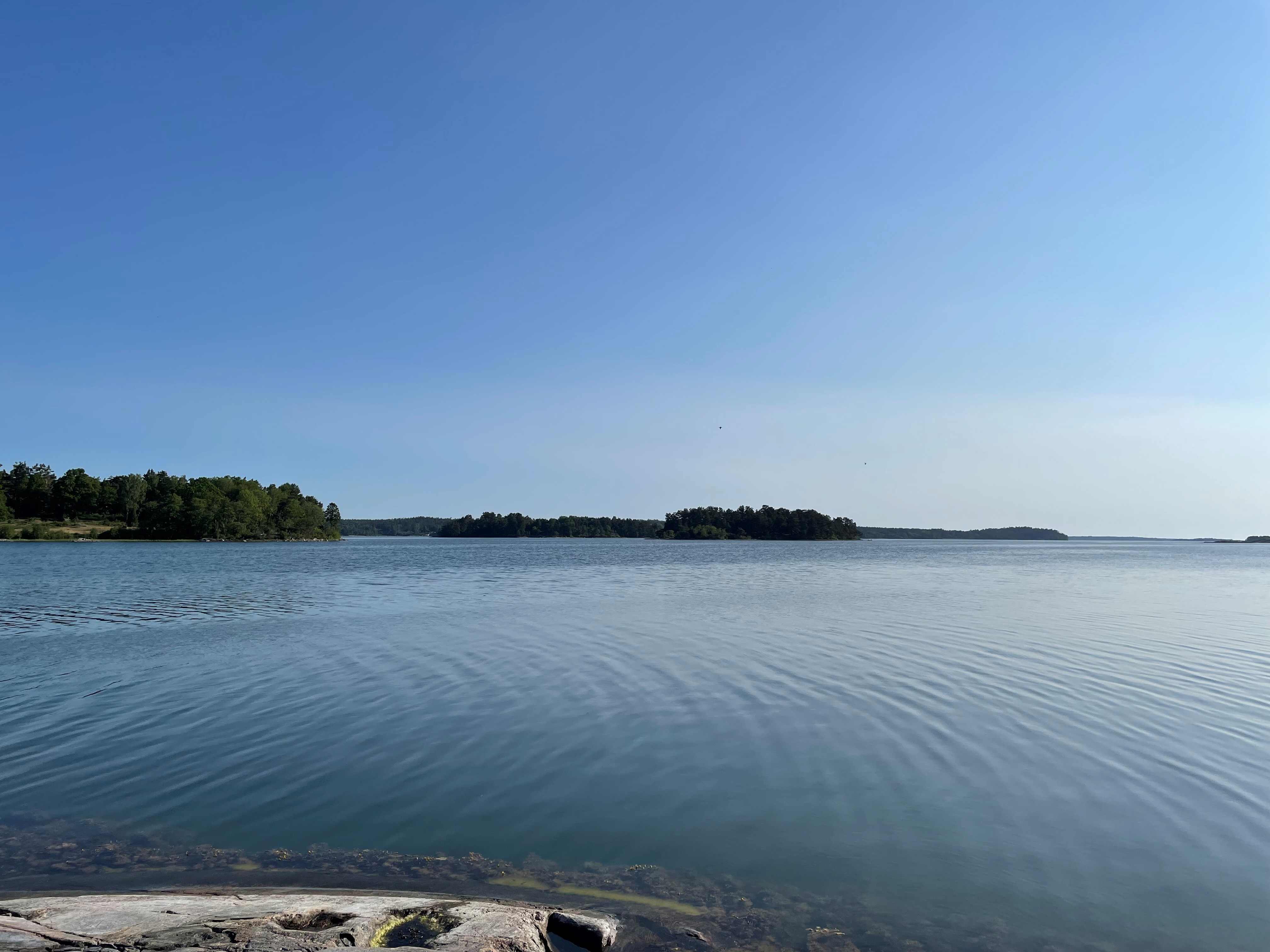 Blue sea and blue sky. Trees on the horizon.
