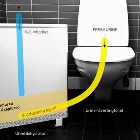 A toilet that separates urine from the drain.
