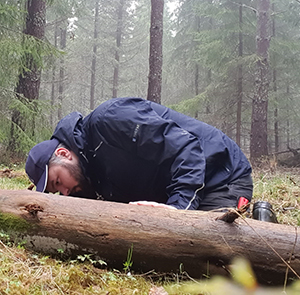 Albin Larsson Ekström undersöker 