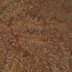 Krankorridorgallring