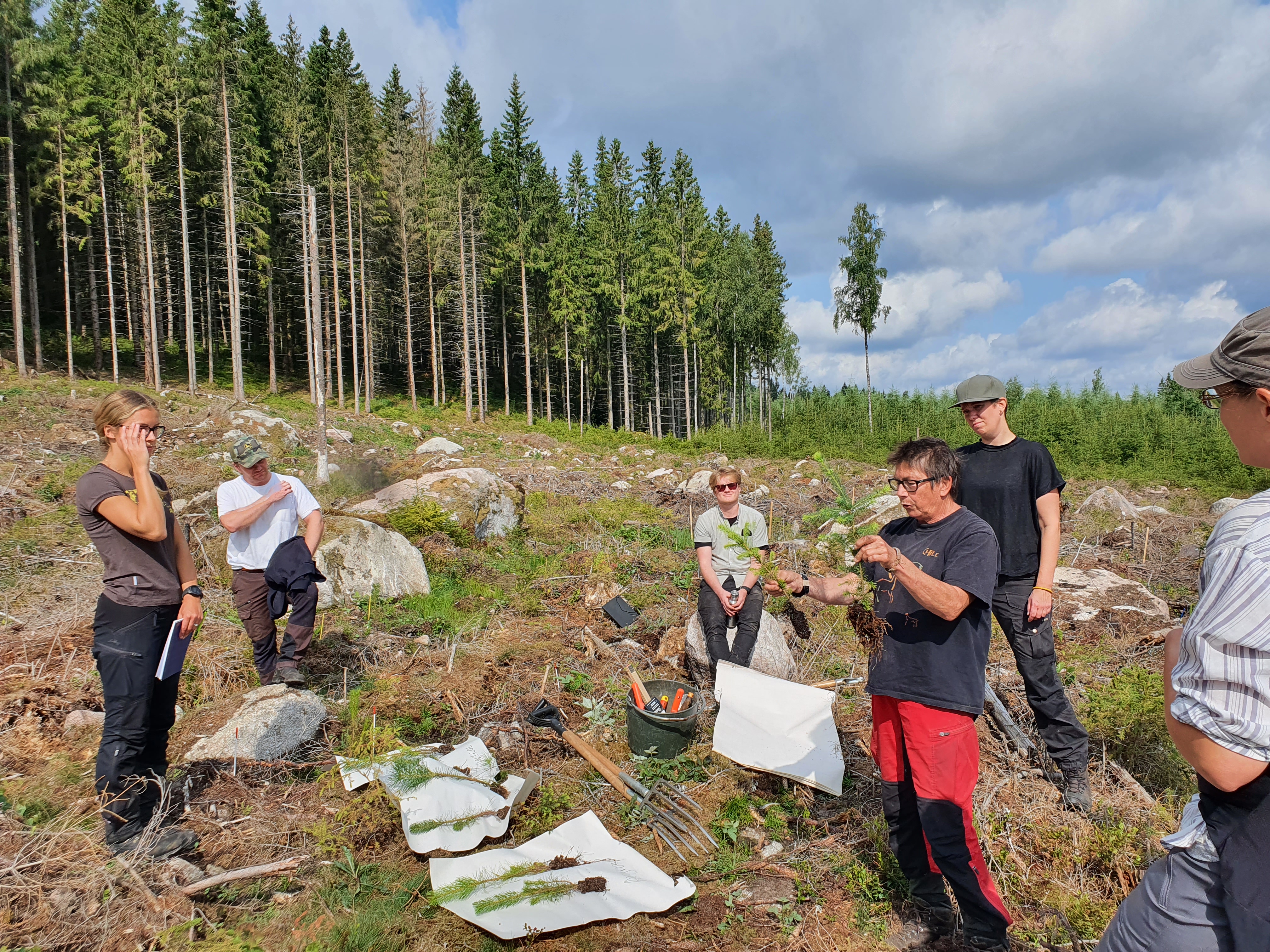 Field excursion at Asa Experimental Forest, August 2021. 