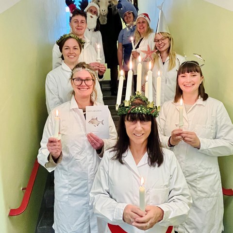 Luciatåg på kustlaboratoriet