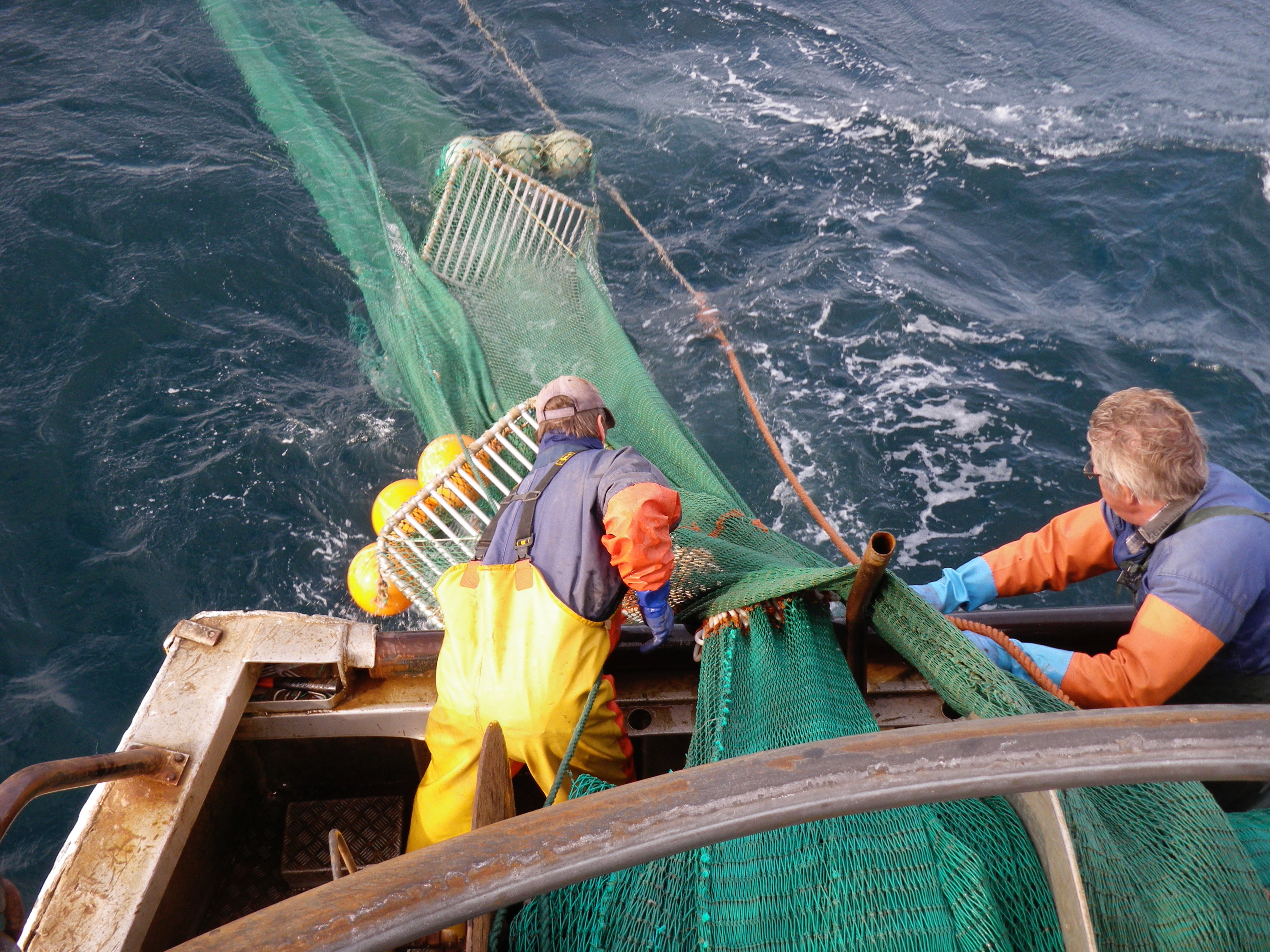 Fiskare arbetar i aktern på båt